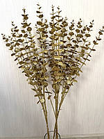 Гілки золотого евкаліпта. Евкаліпт золотий ( гілка на п'ять розгалужень 86 см), фото 5