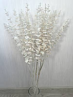 Гілки білого перламутрового евкаліпта. Евкаліпт білий перламутр ( Гілка на п'ять розгалужень 86 см), фото 9