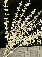 Гілки білого перламутрового евкаліпта. Евкаліпт білий перламутр ( Гілка на п'ять розгалужень 86 см), фото 8