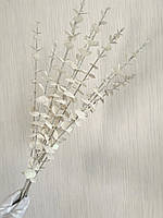 Гілки білого перламутрового евкаліпта. Евкаліпт білий перламутр ( Гілка на п'ять розгалужень 86 см), фото 7