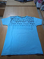 Футболка Dgs Kids 110 см,116 см Блакитна,біла