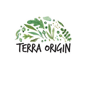 Terra Origin