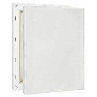 Полотно на підрамнику Art Craft 16006 20х50 см