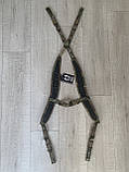 Лямки Warrior Assault Systems Load Bearing/Low Profile Harness, фото 4