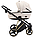 Дитяча коляска 2 в 1 Adamex Cristiano Special Edition CR-302, фото 3