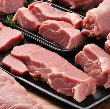 Вкусоароматична суміш FOODALLIANCE "Комбі Часникова" для виробників (тільки опт) від 100кг