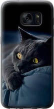 Чохол на Samsung Galaxy S7 G930F Димчастий кіт "825u-106-851"
