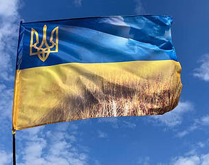Прапор України з малим гербом «Пшеничне поле», фото 2
