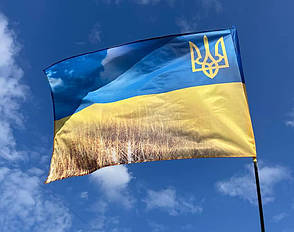 Прапор України з малим гербом «Пшеничне поле», фото 3
