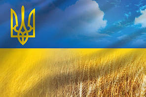 Прапор України з малим гербом «Пшеничне поле», фото 4
