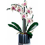 Lego Icons 10311 Орхідея, фото 4