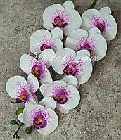 Веточка Латексных орхидей Премиум качества на 9 цветочков - (цвет белый в крапинку)