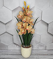 Композиція із латексних орхідей Цимбідіум Преміум якості у Керамічному горщику