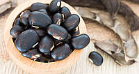 Mucuna Pruriens: екстракт мукуни для вашого емоційного й статевого здоров’я