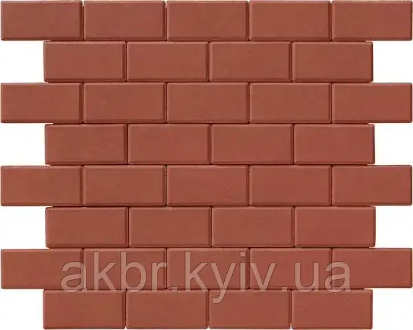 Бруківка 200х100х40 паприка