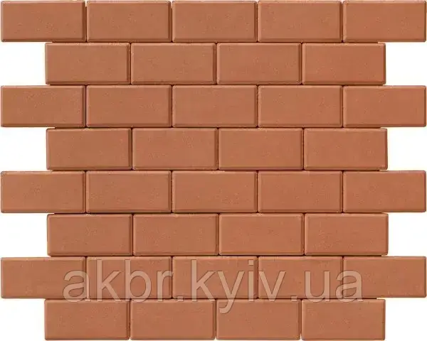 Бруківка 200х100х80 бурштин, фото 1