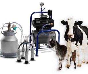 Тваринництво