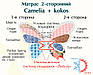 Матрац Camelia+Kokos / Камелія+Кокос 160х200, фото 4