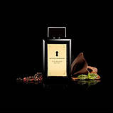 Туалетна вода для чоловіків Antonio Banderas The Golden Secret 100 мл, фото 5