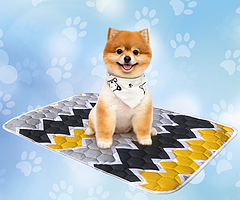 Багаторазова пелюшка для собак AquaStop арт. 1, розмір 60х60 см