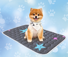 Багаторазова пелюшка для собак AquaStop арт. 5, розмір 40х60 см