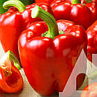 Перець солодкий Геркулес F1 Clause 8 шт, фото 4