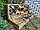 Набір шампурів розбірних 6 шт. з комплектом аксесуарів у дерев'яному кейсі 650х12х2,5 мм. BST 123113, фото 2