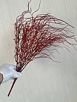 Гілка для новорічного декору. Осока хвиляста червона (50 см , кущ на 12 гілочок), фото 8
