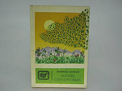 Копанєва Л.М., Стебаїв І.В. Життя саранчових (б/у).