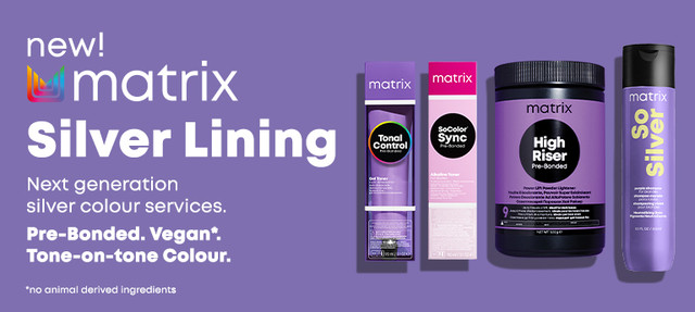 Matrix High Riser Банер послуга Matrix Silver Linings