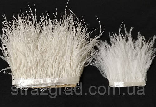 Пір'я страуса на стрічці. Колір Слонова кістка. Перо 10-15см. Ціна за 0,5 м., фото 1