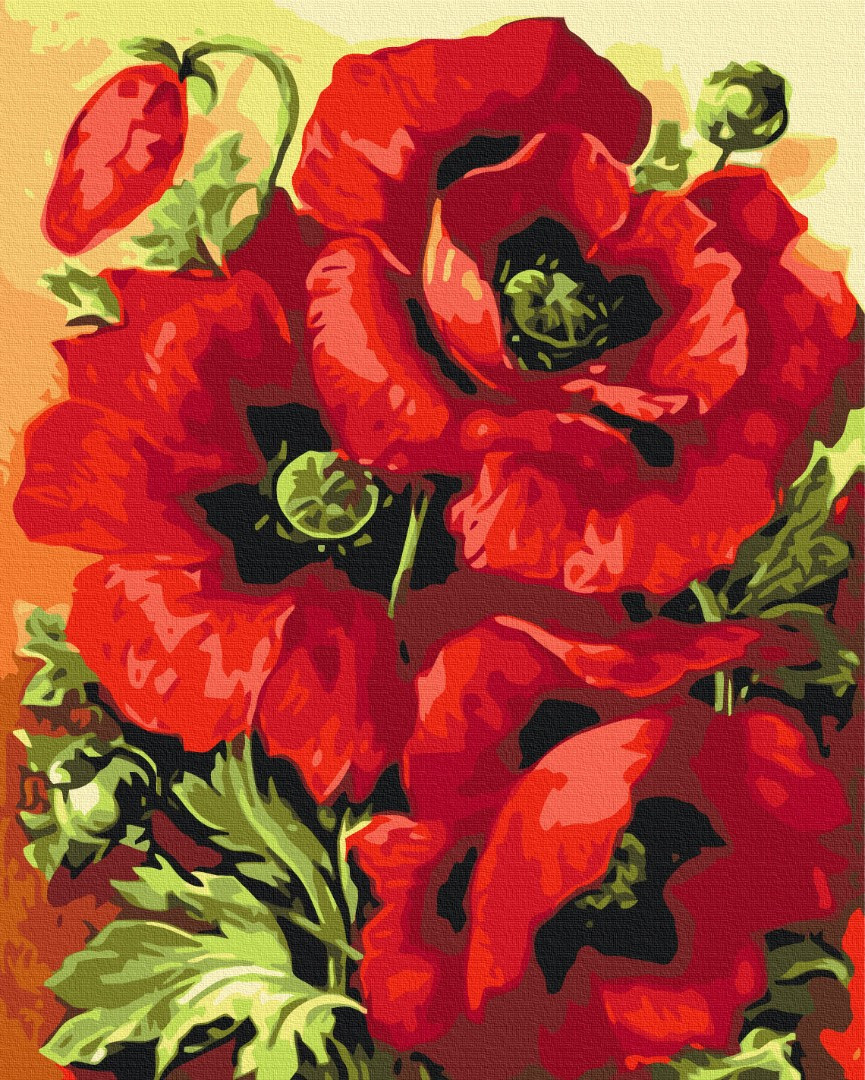 Картина за номерами 40×50. Макове тріо Brushme