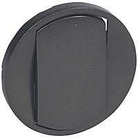 Лицьова панель вимикача Legrand Céliane одноклавішний Графіт (067901)