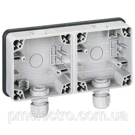 Монтажна коробка накладна IP66, 2-поста, Сірий, Legrand Plexo 90493, фото 1