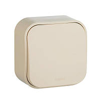 Вимикач дзвінківовий 1-кл.6A, Слонова кістка, Legrand Forix 782435