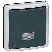 Перемикач на два напрямки з підсвічуванням 10А, 250В, IP 66, Сірий, Legrand Plexo 090480