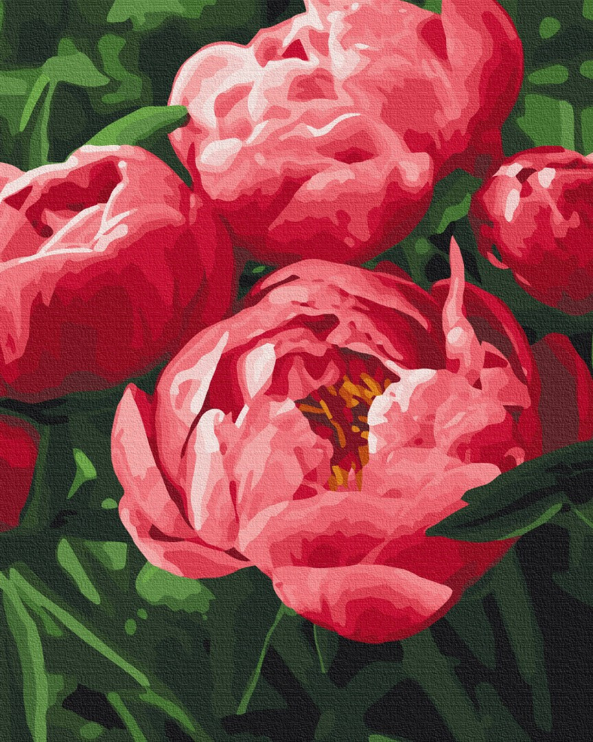 Картина за номерами 40×50. Насичений колір півоній Brushme