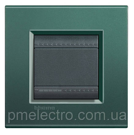 Прямокутна Рамка 1 - пост, Зелений шовк, Legrand Bticino LivingLight, LNA4802PK, фото 2