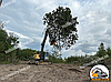 Гусеничний екскаватор Volvo 300 для розліснення дерев. Викорчовувач дерев., фото 5