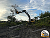 Гусеничний екскаватор Volvo 300 для розліснення дерев. Викорчовувач дерев., фото 6
