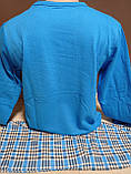 Чоловіча піжама  тепла з мікроначісом Туреччина Pijamia  Бруклін 100% бавовна 44-52 розміри блакитна, фото 2