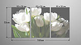 Модульна картина Poster-land Квіти Тюльпани Art-4_3А KB, код: 6502943, фото 3