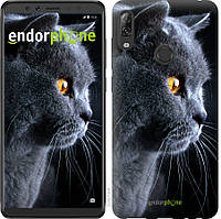 Пластиковий чохол Endorphone на Lenovo K5 Pro Красивий кіт (3038m-1608-26985) NC, код: 1390999