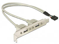 Планка корпусна Delock USB2.0 Ax2-PinHeader 0.30m Slot Bracket Сірий (70.07.1000) KB, код: 7455333