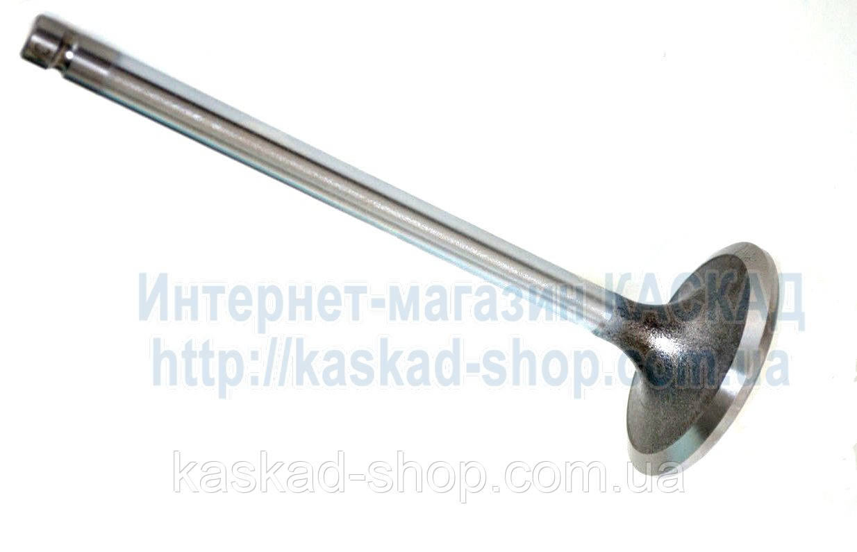 Клапан впускной 3920867 Cummins-6B5.9 6BT5.9