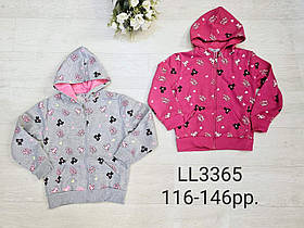 Пайта утеплена для дівчаток оптом, Sincere, 116-146 pp.,  № LL-3365