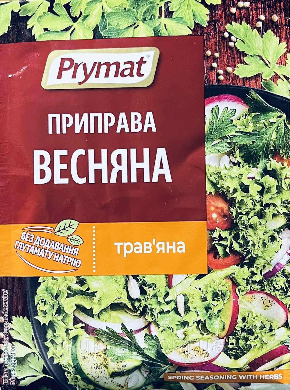 Приправа "Весна" 25 г, фото 1
