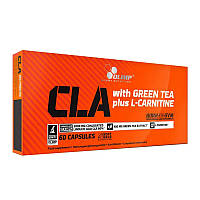 Конъюгированная линолевая кислота Olimp CLA with Green Tea plus L-Carnitine Sport Edition (60 caps)