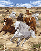 Картина за номерами Степові скакуни (BRM45738) 40 х 50 см