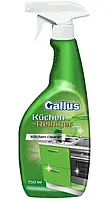 Засіб для чищення кухонних поверхонь Gallus Spray Kuchen Reiniger 750 мл